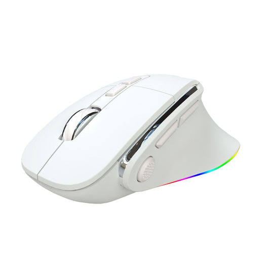 Ergonomic Wireless Gaming Mouse with Dual Bluetooth & RGB
