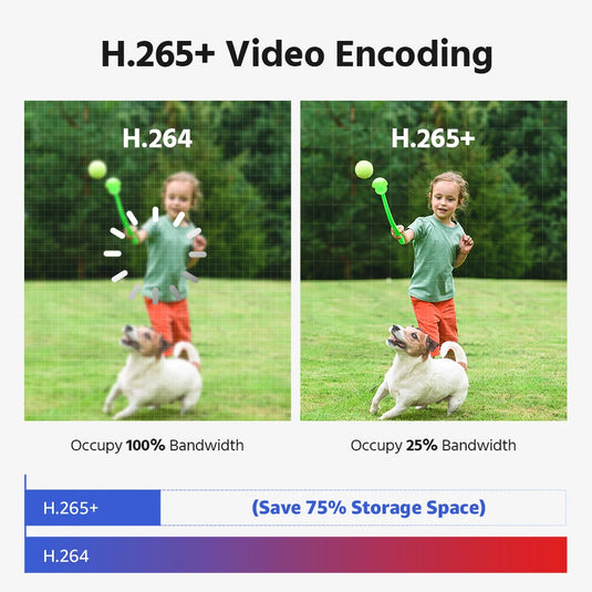 ANNKE 4K 8MP POE Surveillance Camera Dual Lens 180° outdoor poe camera Color Night Vision CCTV Video Security Camera