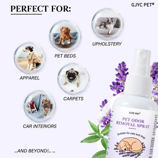 Pet Odor Eliminator Spray, Verbena & Lavender Deodorizer for Dogs & Cats