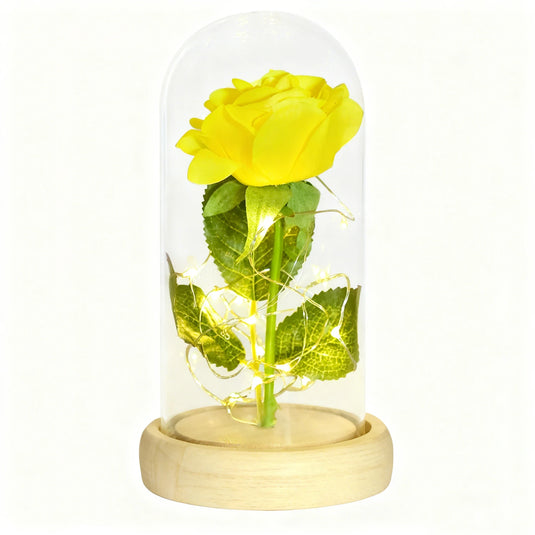 Gifts for Her Beauty and The Beast Eternal Rose In Glass Dome Artificial Forever Flower LED Light Mothers Day Gifts for Women