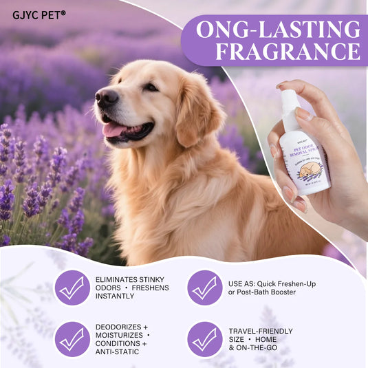 Pet Odor Eliminator Spray, Verbena & Lavender Deodorizer for Dogs & Cats